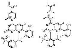 Figure BDA0002861043520000792