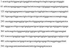 Figure BDA0002465283840000631