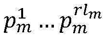Figure BDA0002854675690000032