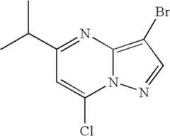 Figure US07119200-20061010-C00584