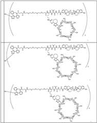 Figure BDA0002889616220001301