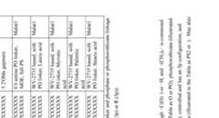 Figure imgf000529_0001