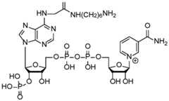Figure imgf000029_0002