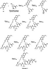 Figure imgf000052_0001
