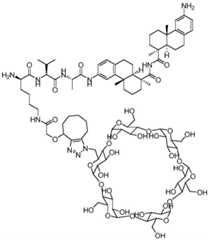 Figure BDA0002889616220002721