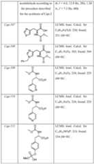 Figure imgf000101_0001