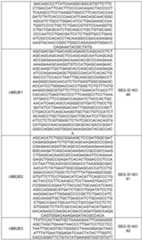 Figure imgf000106_0001