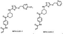 Figure imgb0469