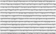 Figure BDA0002640530420000133