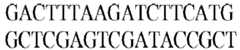 Figure imgb0552