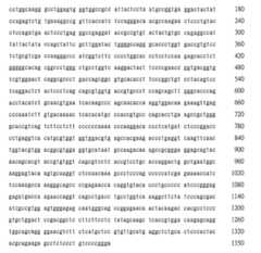 Figure TW201943729A_D0638