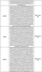 Figure imgf000108_0001