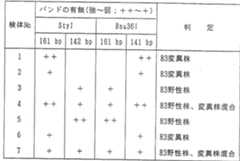 Figure imgf000013_0001