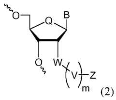 Figure imgf000005_0002