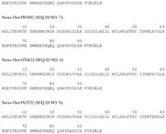 Figure BDA0000424462690000061