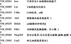 Figure BDA0000057170160002241