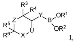 Figure imgf000003_0001