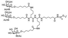 Figure 0007429103000023