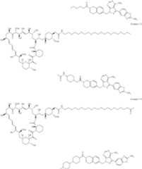 Figure US11364300-20220621-C00465