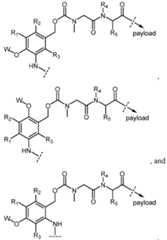 Figure imgf000003_0001