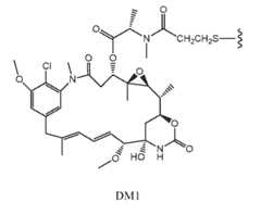 Figure imgf000031_0002
