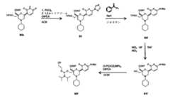 Figure 0007417529000054