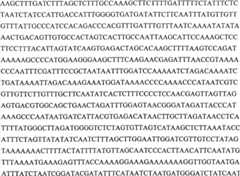 Figure G05842547720070613D000843