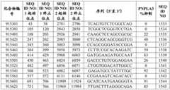 Figure BDA0002976854330001402