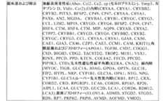 Figure 0007269990000006