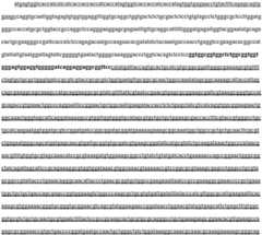 Figure BDA0003329258330000051