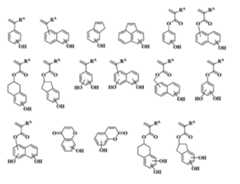 Figure JPOXMLDOC01-appb-C000034
