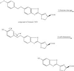 Figure US08476450-20130702-C00059