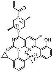 Figure BDA0002861043520001132