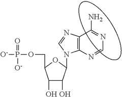 Figure US09271996-20160301-C00094