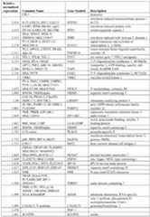 Figure imgf000050_0001