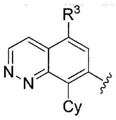 Figure imgf000006_0002