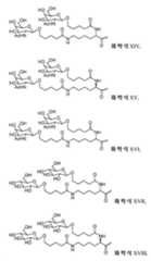 Figure 112013096810811-pct00005