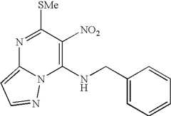 Figure US07067520-20060627-C00144