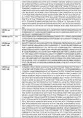 Figure imgf000127_0001