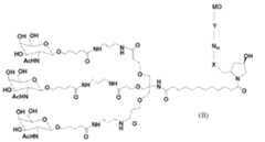 Figure imgf000070_0002