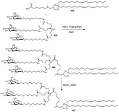 Figure imgf000206_0001