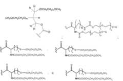 Figure 112009026250918-PCT00132