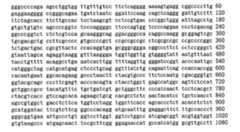 Figure 109103078-A0101-12-0129-116