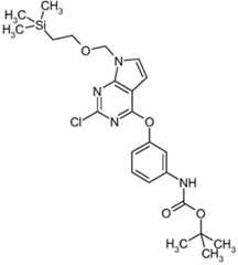 Figure BDA0000479984280001061
