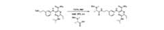 Figure 2025502748000147