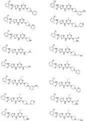 Figure 112012001964388-pct00013