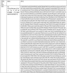 Figure BDA0001868160740001652