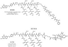 Figure imgf000116_0001