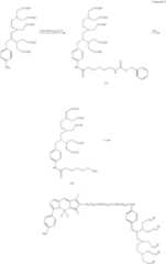 Figure US07102005-20060905-C00034