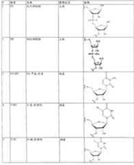 Figure BPA00001480673500431